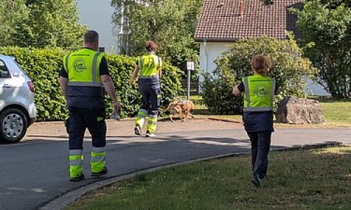 ludwig-steil-hof-newsbeitrag-vierbeinige-spuernase-im-einsatz-hund-draussen-im-einsatz